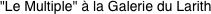 "Le Multiple" � la Galerie